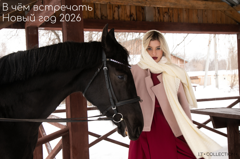 В чём встречать Новый год 2026: образы для каждого знака зодиака. Часть 2